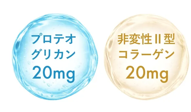 プロテオグリカン 20mg、非変性Ⅱ型コラーゲン 20mg