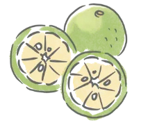ノビレチン