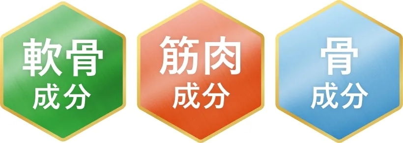軟骨成分・筋肉成分・骨成分