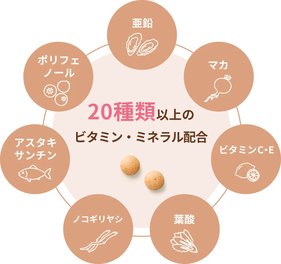 20 種以上のビタミン・ミネラルをオールインワン配合